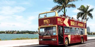 Miami Hop-on Hop-off Bus Tour with Cruise Option