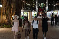 Miami Night Tour with Skyview Wheel thumbnail 3