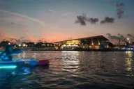 Tampa Clear Kayak Night Tour thumbnail 5