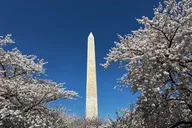 Washington DC Small Group Tour with Changing of the Guard thumbnail 4