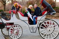 New York City Proposal Carriage Ride 60 min thumbnail 1