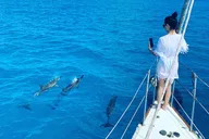 Waikiki Turtle Snorkeling and Sailing thumbnail 3