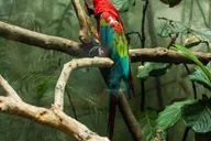 New York Central Park Zoo Tour with Private Transfers thumbnail 3