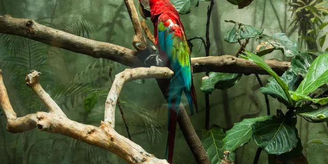 New York Central Park Zoo Tour with Private Transfers - Image 3