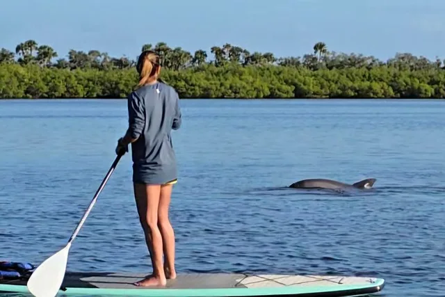 Edgewater Kayak Tour with Native Wildlife - Image 1