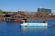 Branson Duck Tour on Lake Taneycomo 1.5 hr thumbnail 6