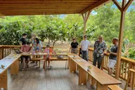 Oahu Cacao Orchard Tour 90 min thumbnail 3