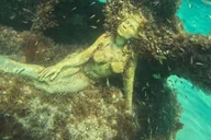 Fort Lauderdale Snorkel, Kayak & SUP Adventure thumbnail 2