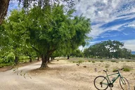 Santa Ynez Valley Biking and Wine Tasting Tour thumbnail 5