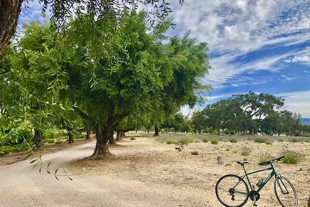 Santa Ynez Valley Biking and Wine Tasting Tour - Image 5