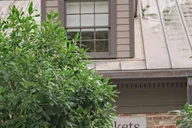 Savannah Juliette Gordon Low Birthplace Tour 2 hr thumbnail 3