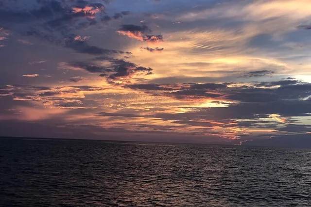 Panama City Dolphin Adventure at Sunset - Image 6