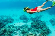 Ka'anapali Beach Snorkel and Turtle Spotting 3.5 hr thumbnail 6