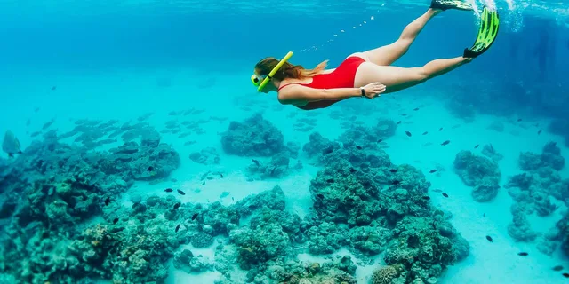 Ka'anapali Beach Snorkel and Turtle Spotting 3.5 hr - Image 6