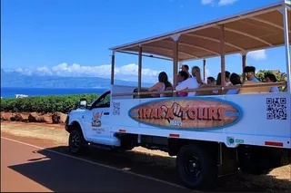 Maui Open-Air Banyan Tree & Blowhole Tour