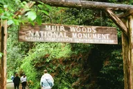 San Francisco Muir Woods and Sausalito Tour thumbnail 3