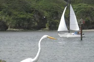 Bodega Bay Sailing Tour thumbnail 1