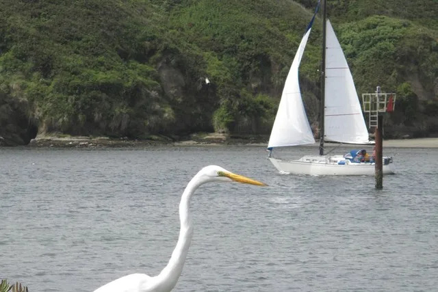Bodega Bay Sailing Tour - Image 1