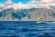Lanai Dolphin Adventure and Snorkeling Tour thumbnail 2