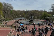 New York City Central Park Horse and Carriage Ride thumbnail 5