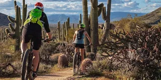 Scottsdale Mountain Bike Tour in the Sonoran Desert