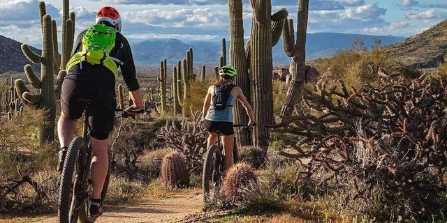 Scottsdale Mountain Bike Tour in the Sonoran Desert - Image 1