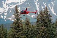 Seward Helicopter Tour of Bear Glacier thumbnail 3