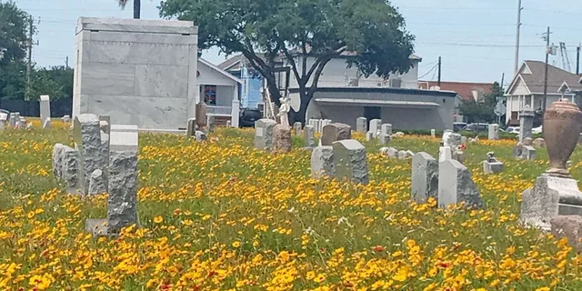 Galveston Old City Cemetery Walking Tour - Image 5