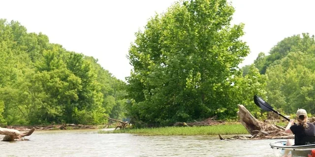 Nashville Old Hickory Lake Clear Kayak Wildlife Tour 2.5 hr - Image 4
