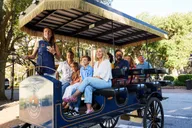 Charleston Horse-Drawn Carriage Tour thumbnail 6
