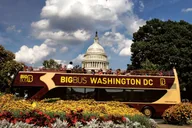 Washington DC Hop-on Hop-off Bus & Sunset Tour thumbnail 1