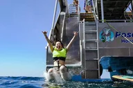 Oahu Dolphin Watch Cruise with Waterslide & Snorkeling thumbnail 6