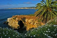 San Diego Coastal Gems Scenic Tour thumbnail 4