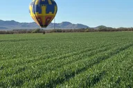 Tucson Hot Air Balloon Ride with Champagne Toast thumbnail 6