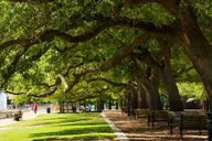 Houston Romantic Urban Adventure Private Tour 2 hr thumbnail 4