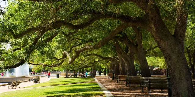 Houston Romantic Urban Adventure Private Tour 2 hr - Image 4