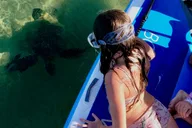 Wailea Beach Snorkeling Tour for Non-Swimmers 1.5 hr thumbnail 2