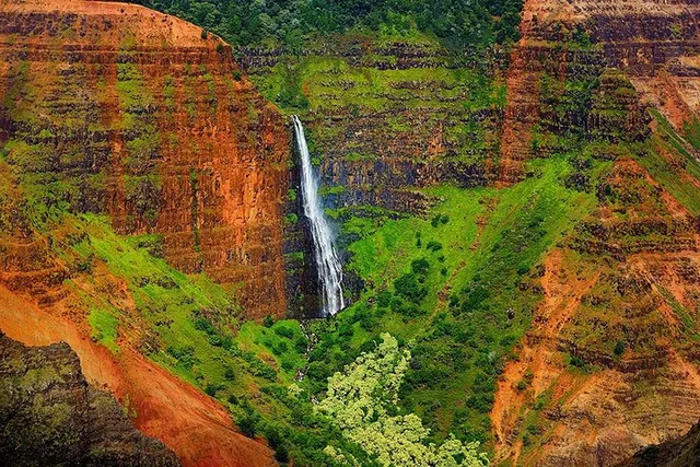 Kauai Waimea Canyon & Wailua River Day Trip - Image 2