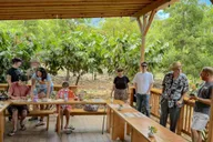 Oahu Chocolate Farm Tour with Tasting thumbnail 5