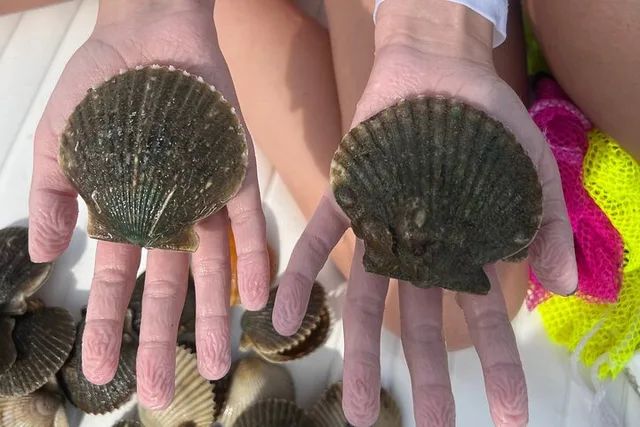 Crystal River Scallop Charter - Image 1
