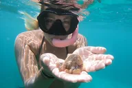 Oahu Marine Ecology Snorkel from Electric Beach thumbnail 1