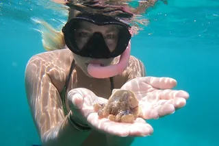 Oahu Marine Ecology Snorkel from Electric Beach
