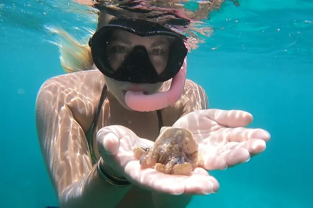 Oahu Marine Ecology Snorkel from Electric Beach - Image 1