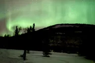 Anchorage Wilderness and Wine Tasting Tour thumbnail 6