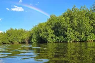 Key West Kayak or Paddleboard Rental 2 hr thumbnail 3