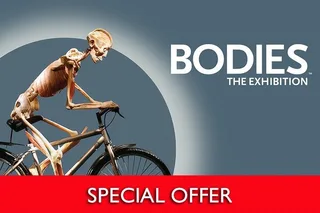 Las Vegas Bodies The Exhibition