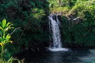 Hana Waterfall and Chocolate Tour thumbnail 2