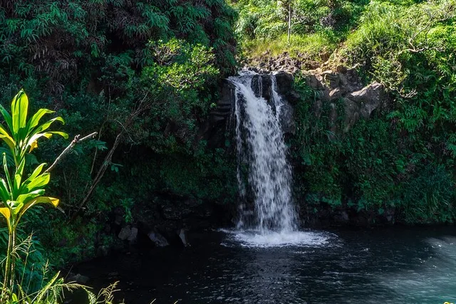 Hana Waterfall and Chocolate Tour - Image 2