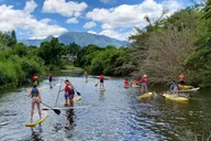 Oahu Circle Island Private Tour thumbnail 2