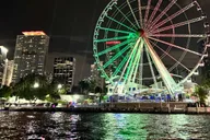 Miami Beach Sandbar & Skyline Boat Tour thumbnail 5